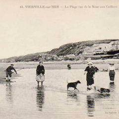 la_plage_vue_de_la_nouee_aux_cailloux.png
